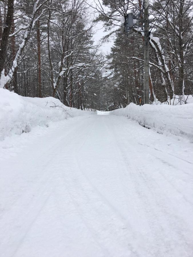 Haus Yuki Villa Hakuba Luaran gambar